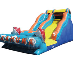 Big Kahuna Dry Slide