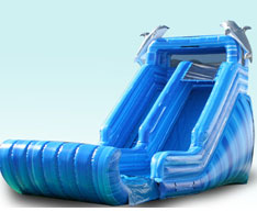 Dolphin Dry Slide
