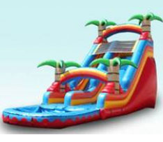 20ft Tropical Dry Slide