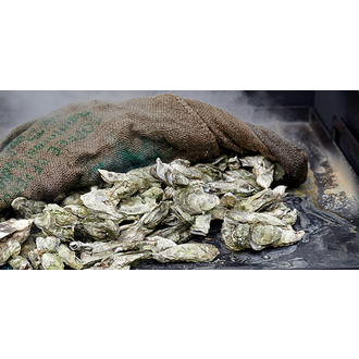 Oyster Roast