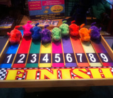 Pig Racing