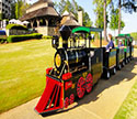 Trackless Train